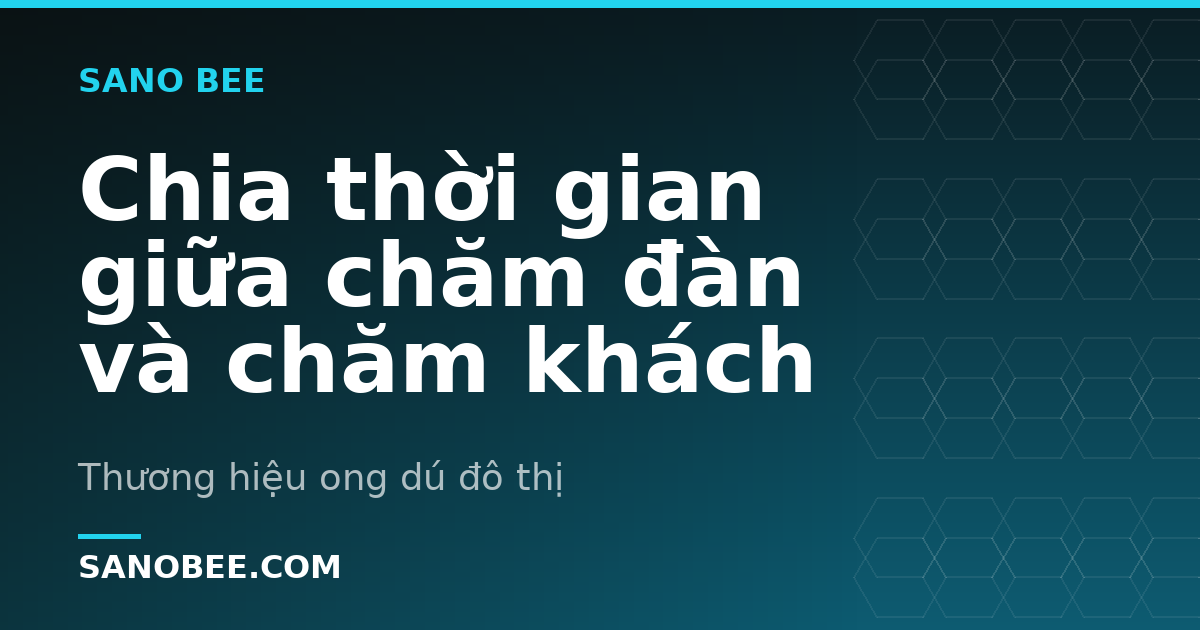 Chia thời gian giữa chăm đàn và chăm khách