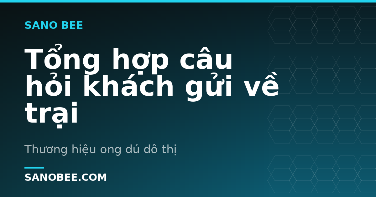 Tổng hợp câu hỏi khách gửi về trại