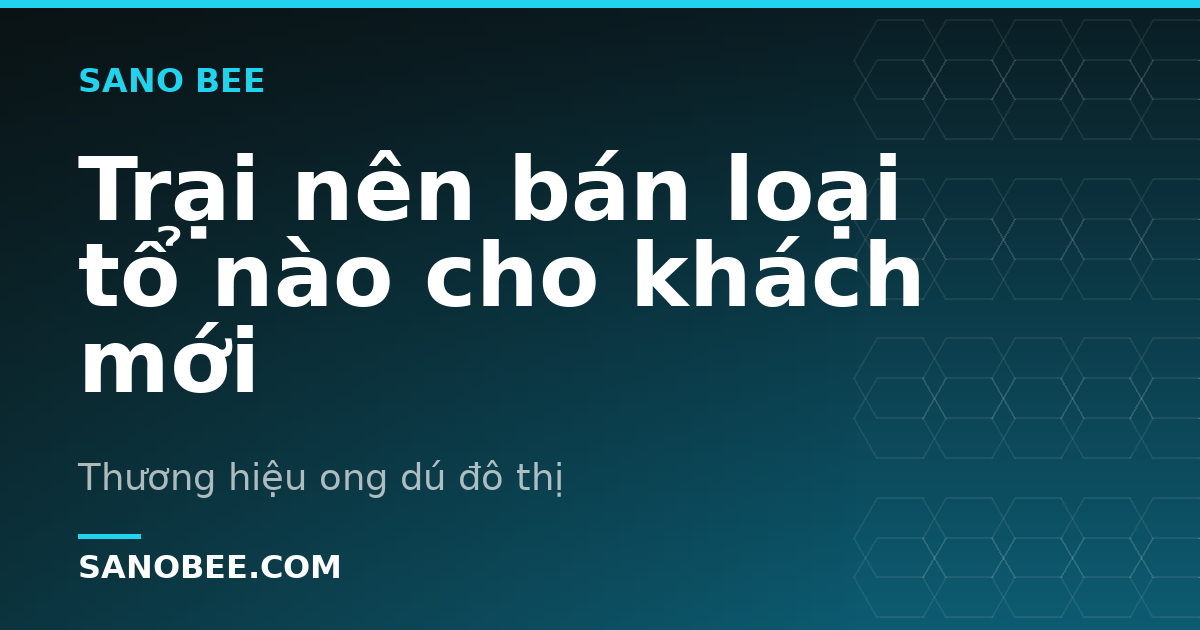 Trại nên bán loại tổ nào cho khách mới